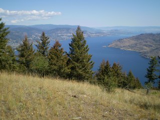 On peak of Little Mount Eneas, looking NE towards Okanagan Lake, Mount Eneas 2011-08.